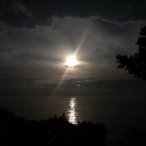 Meet your Posher, Alison